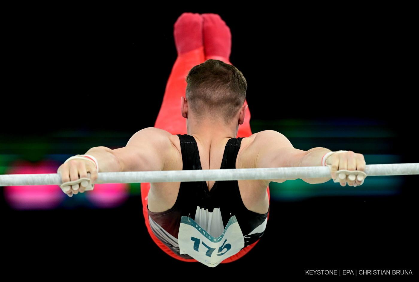 Organisation faîtière