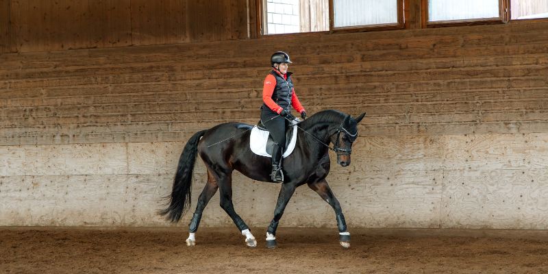 Headerbild_Swiss_Equestrian_2-1JPG